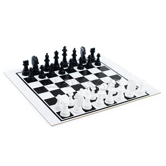Шашки/шахматы