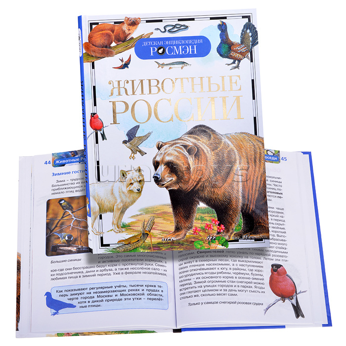 Животные России (Детская энциклопедия)