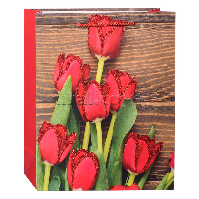 Пакет подарочный "Красные тюльпаны" 26х32х10 см