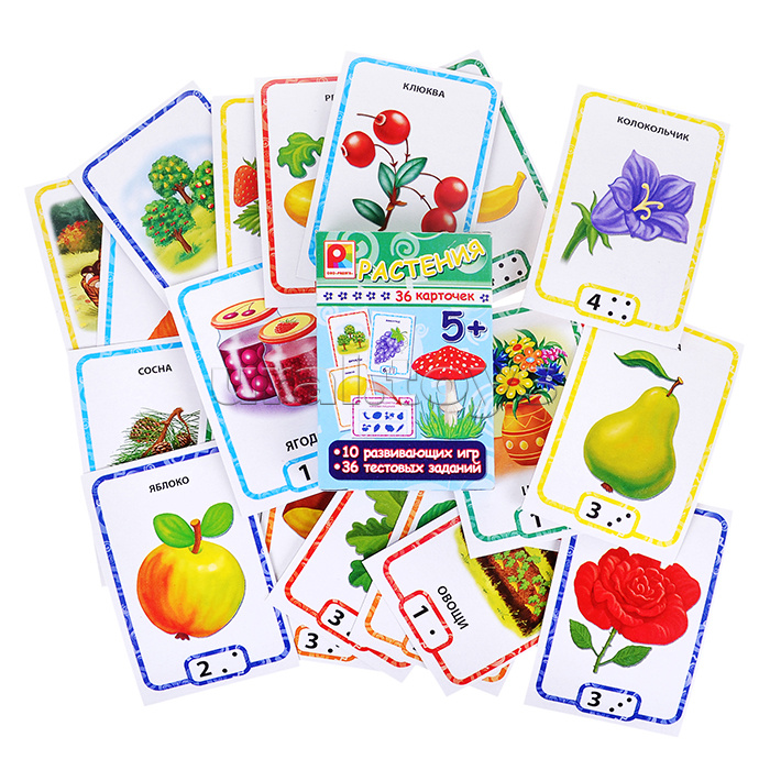 Настольная игра "Растения с карточками"