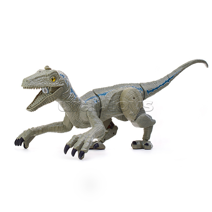 Динозавр "Велоцираптор" серый, р/у, 27MHz, в коробке